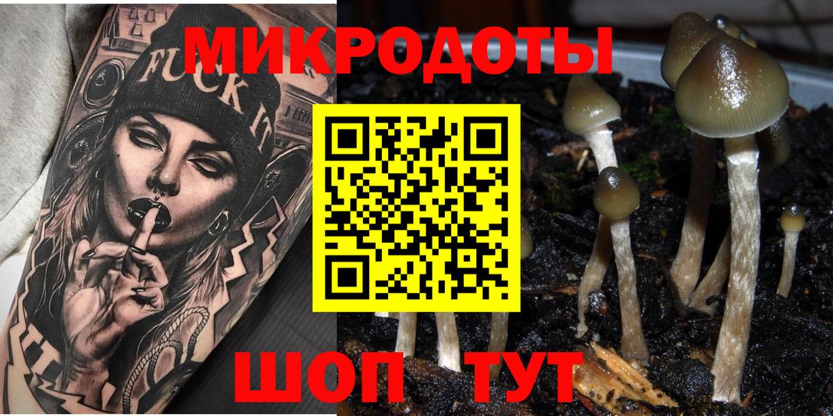 купить   Галлюциногенные грибы ЛСД  Вход с VPN  Псилоцибиновые грибы Psilocybe  Калининград 