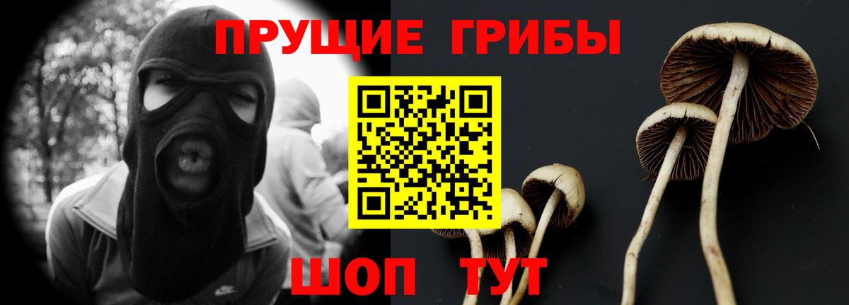 Галлюциногенные грибы мухоморы Калининград