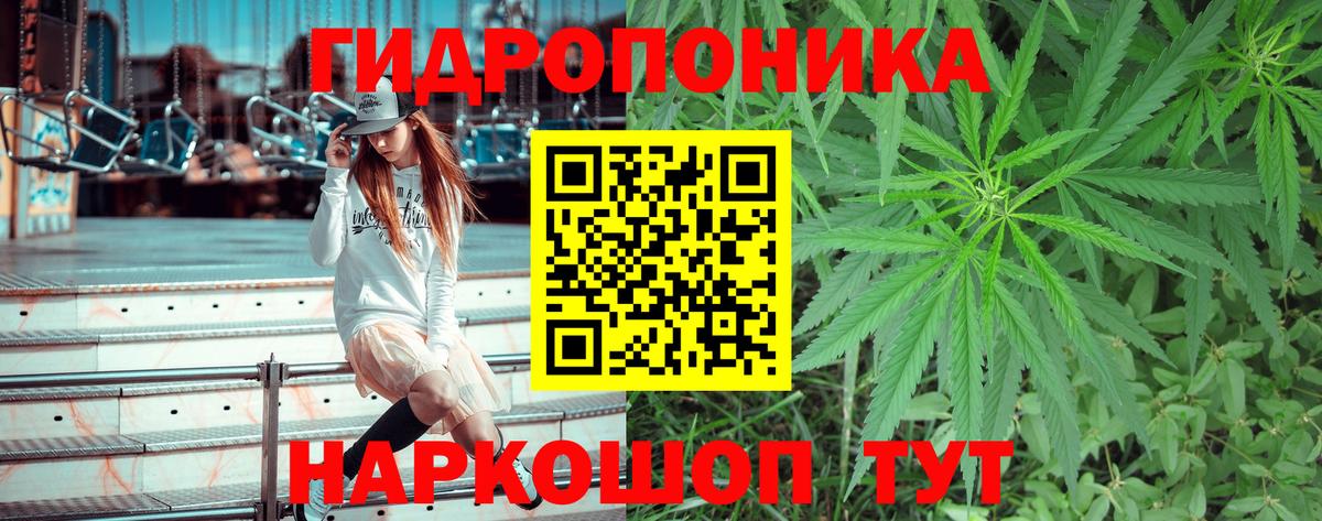 Конопля Ganja Калининград